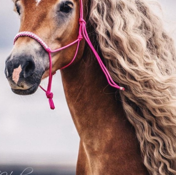 Meet your Posher, Debra - Picture 1 of 1